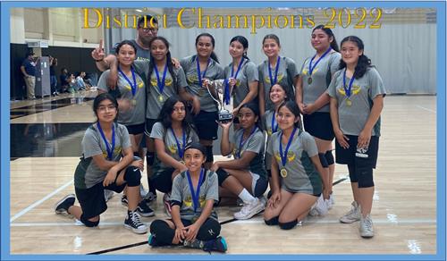 District champions